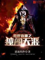 荒野直播之独闯天涯小说
