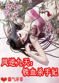 凤逆九天：铁血杀手妃小说