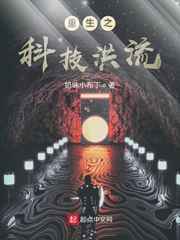 重生之科技洪流小说