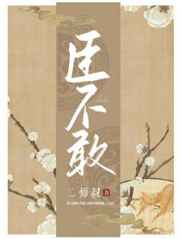 臣不敢小说