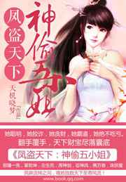 凤盗天下：神偷五小姐小说