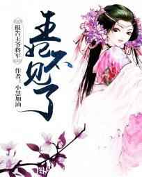 报告王爷将军:王妃不见了小说