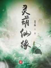 灵葫仙缘小说