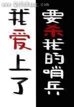 我爱上了要杀我的哨兵小说