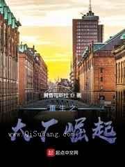 重生之大厂崛起小说