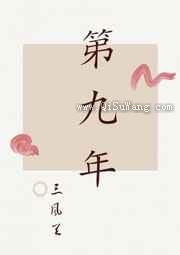 第九年小说