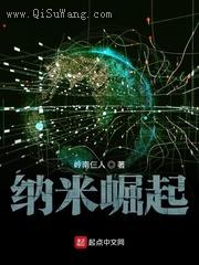 纳米崛起小说