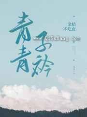 青青子衿小说