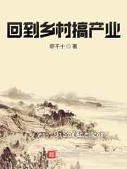 回到乡村搞产业小说