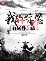 我的标签有属性加成小说