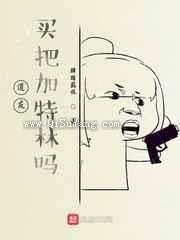道友，买把加特林吗小说