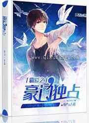 霸爱之豪门独占小说