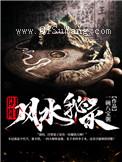 阴阳风水秘录小说