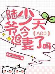 陆少爷今天追妻了吗小说