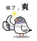 山神和我结婚是为了搞开发小说