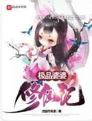 极品婆婆修仙记小说