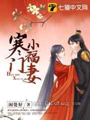 寒门小福妻小说
