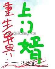 重生异界之上门婿小说