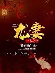 一人之下龙妻小说
