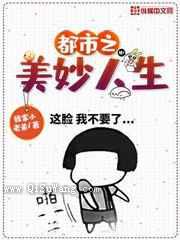 都市之美妙人生小说