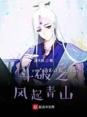 斗破之风起青山小说