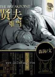 贤夫难当小说