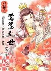 穿越之鸳鸳乱世小说
