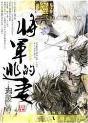 将军的逃妻小说