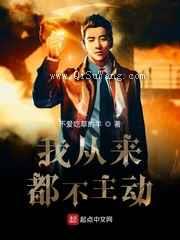 我从来都不主动小说