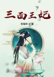 三面王妃小说