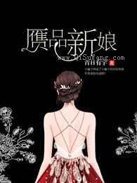 赝品新娘小说