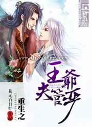 重生之王爷夫管严小说