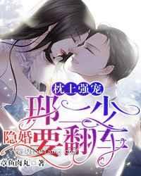 邢二少隐婚要翻车小说