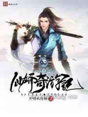 仙婿奇游记小说