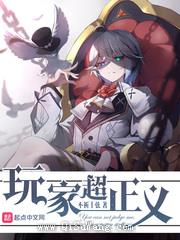 玩家超正义小说