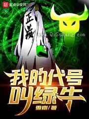 我的代号叫绿牛小说