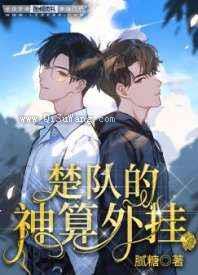 楚队的神算外挂小说