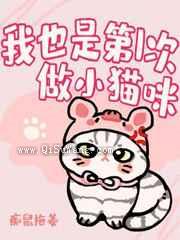 我也是第一次做猫咪小说