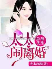 总裁先生,太太闹离婚小说