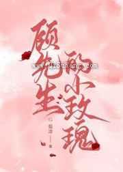 顾先生的小玫瑰小说