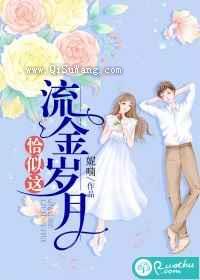 恰似这流金岁月小说