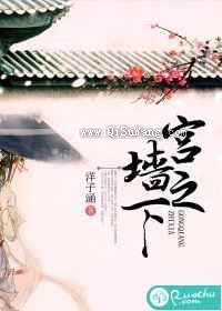 宫墙之下小说