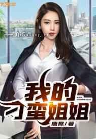 我的刁蛮姐姐小说