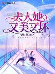 夫人她又美又坏小说