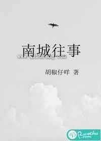 南城往事小说