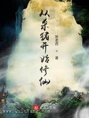 从杀猪开始修仙小说