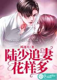 陆少追妻花样多小说