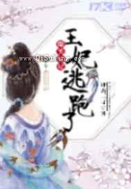 爆笑宠妃王妃逃跑了小说