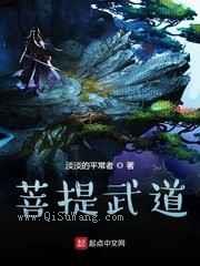 菩提武道小说