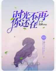 时光不再，你还在小说